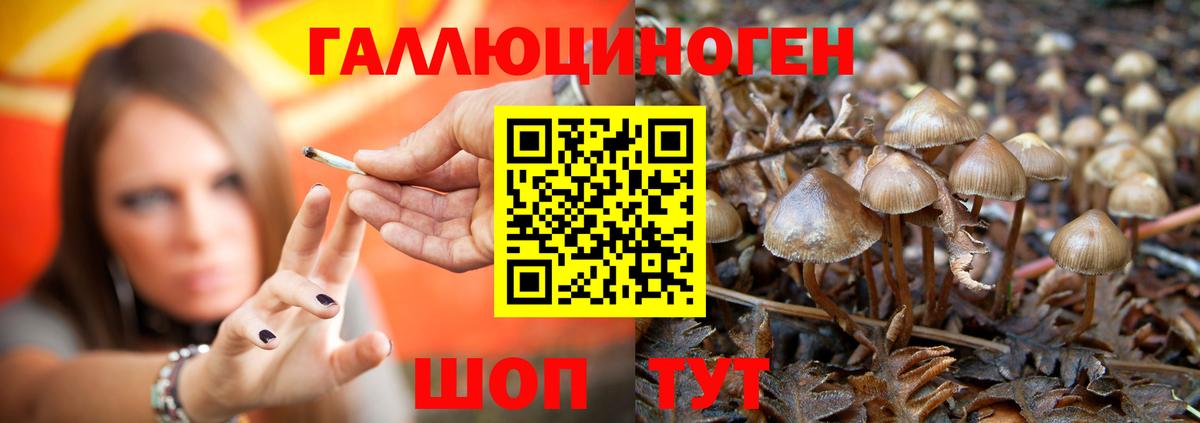 Котовск  Псилоцибиновые грибы Magic Shrooms  Вход с VPN  Галлюциногенные грибы прущие грибы 